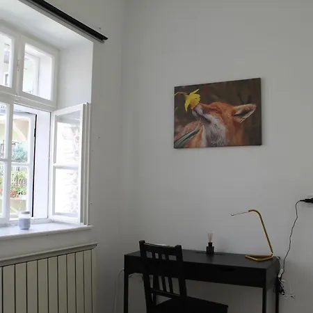 Zwinger Appartamento